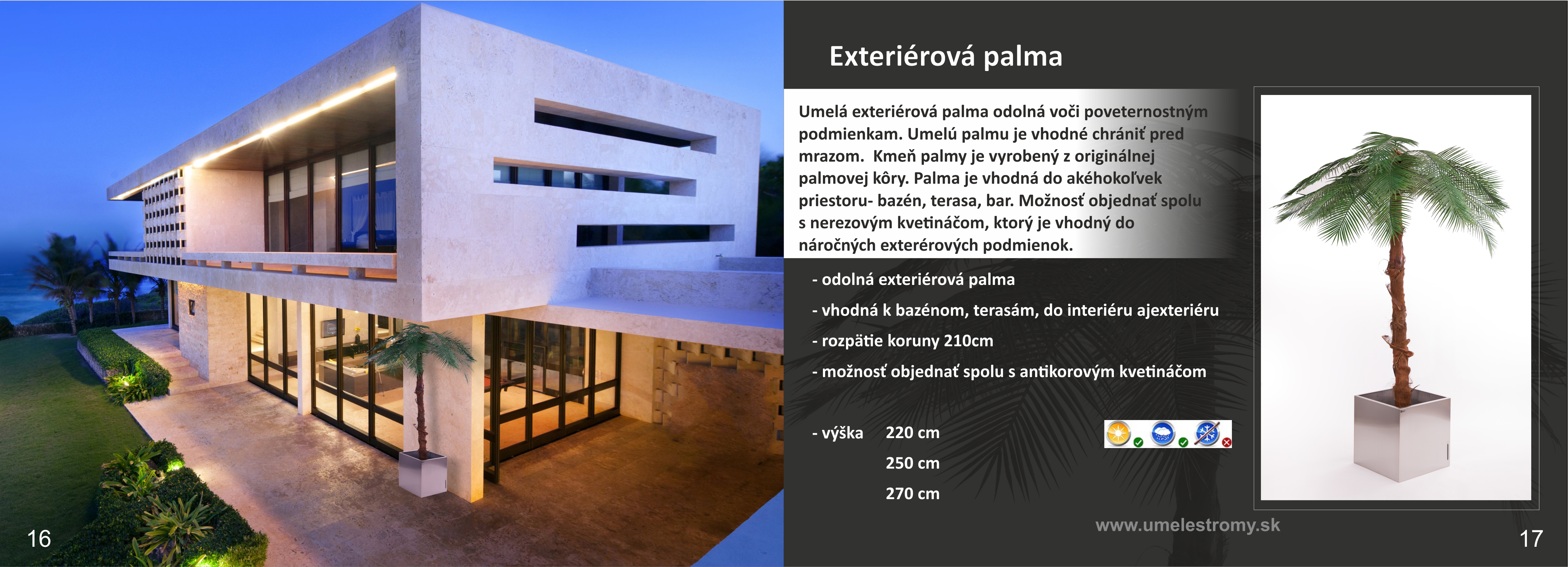 Palma exterieŕ 