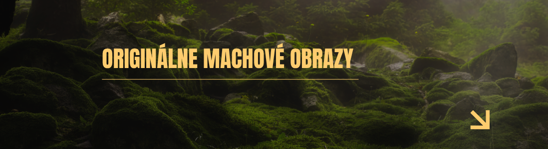 Machové obrazy