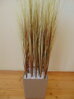 Dekorační tráva dried 70cm