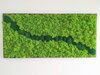 Machový obraz v čiernom ráme 57cm x 123cm 