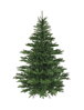 Smrek Prírodný 150cm 