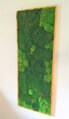 Machový obraz lesný mach+ kopčekový 130cm x 65cm 