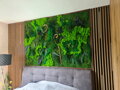 Exkluzívny machový obraz s rastlinami 200cm x 100cm