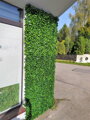 Umelý živý plot- buxus 50cm x 50cm 