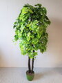 Hrozno zelené 160 cm 