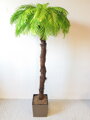 Umelá palma- svetlá s kôrou 180 cm 