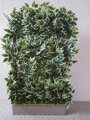 Dekoračná zástena fikus  160 cm x 100 cm