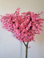 Kvetoucí strom- sakura 200 cm