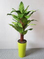 Umelá rastlina- Banánovník 130cm 