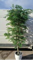 Umelý strom- Akácia gigant 230cm 
