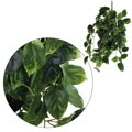Umelá girlanda Pothos 85cm 