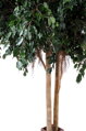 Umelý strom- Fikus gigant 280 cm