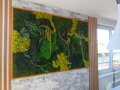 Exkluzívny machový obraz s rastlinami 200cm x 100cm