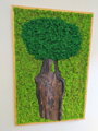 Machový obraz- strom 110cm x 55cm 
