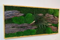 Machovo-drevený exkluzívny obraz 60cm x 120cm 