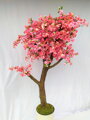 Kvitnúci strom- Japonská čerešňa 180cm 