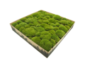 Stabilizovaný kopčekový mach svetlozelený (0.1m²)