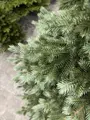 Smrek Strieborný 100% 3D-  200cm