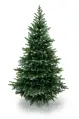 Smrek Strieborný 100% 3D-  200cm