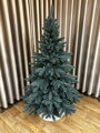 Jedlička stříbrná 150cm