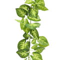 Girlanda alokázia zelená 230cm 