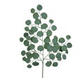 Umelý list eukalyptus 70cm 