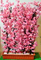 Zástena sakura 135 cm x 90 cm 