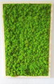 Stabilizovaný fínsky (sobí) mach 1kg- May Green 