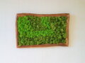 Machový obraz 50cm x 75cm 