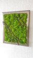 Machový obraz 48 cm x 38 cm