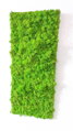 Mechový panel 100 cm x 50 cm