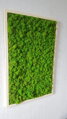 Machový obraz v drevenom ráme 100cm x 65cm