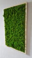 Machový obraz v drevenom ráme 100cm x 65cm