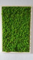 Machový obraz v drevenom ráme 100cm x 65cm
