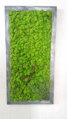 Machový obraz v patinovanom ráme 80 cm x 30 cm