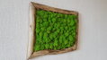 Machový obraz v asymetrickom ráme 40cm x 30cm 