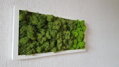 Dvoubarevný mechový obraz 20cm x 40cm 