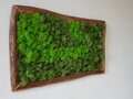 Machový obraz 50cm x 75cm 
