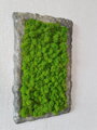 Machový obraz s atypickým rámom 50 cm x 35 cm 