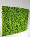 Machový panel 90cm x 100cm 