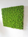 Machový panel 90cm x 100cm 