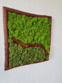 Dvoubarevný mechový obraz 62cm x 62cm