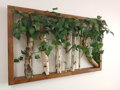 Dřevěný obraz s březovým dřevem a listy 60cm x 100cm