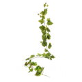 Girlanda vinič- 118cm