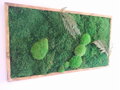 Machový obraz- lesný mach s papradím 50cm x 90cm 