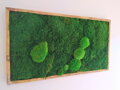 Machový obraz- lesný mach 50cm x 90cm 