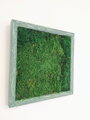 Machový obraz- lesný mach 45cm x 45cm 