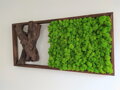 Mechový obraz s exkluzivním dřevem 40cm x 85cm