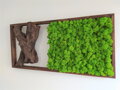 Mechový obraz s exkluzivním dřevem 40cm x 85cm