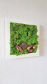Machový obraz v bielom ráme 33cm x 33cm 